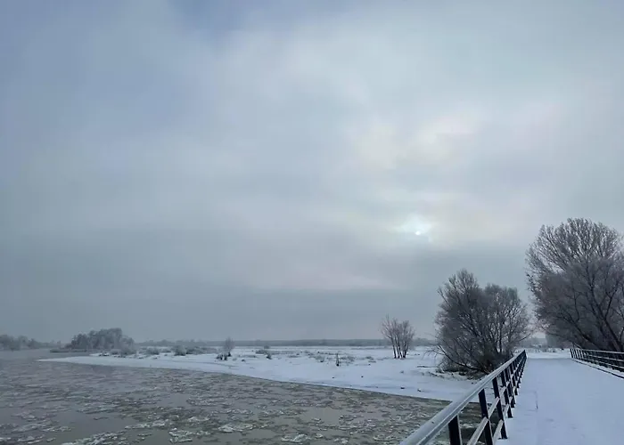 Nad Pilica ヴィラ *